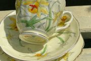 Tea Set vintage China Daffodil pale yellow