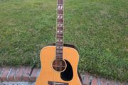 Angelica Vintage Acoustic Guitar