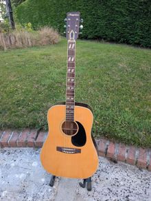 Angelica Vintage Acoustic Guitar