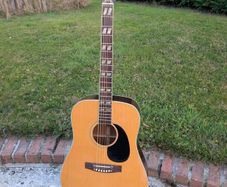 Angelica Vintage Acoustic Guitar