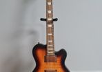 Shine Guitar - Distressed hardware