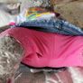 Cute fluffy bunny in build a bear outfit Image 5
