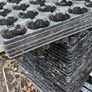 FREE Plant Pots and trays Image 4