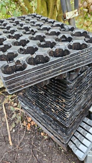 FREE Plant Pots and trays