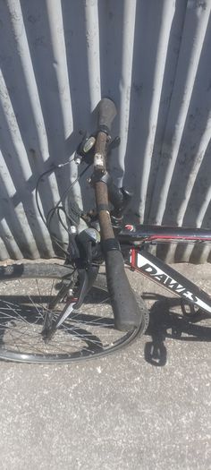 adult bikes