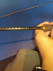 Daiwa legalis seabass 862 (5-21g)
