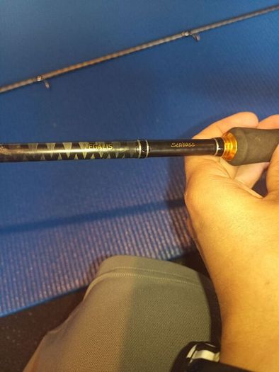 Daiwa legalis seabass 862 (5-21g)