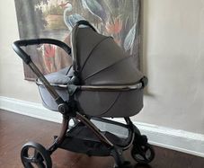 Egg Travel System