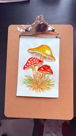 hand-drawn artwork of three mushrooms, created with watercolour pencils