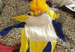Dragonball Z Super Saiyan Costume