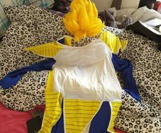 Dragonball Z Super Saiyan Costume