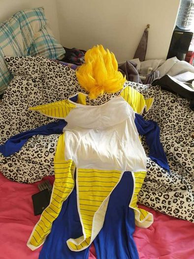 Dragonball Z Super Saiyan Costume