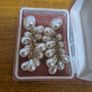 Vintage Pearl Earrings Image 2