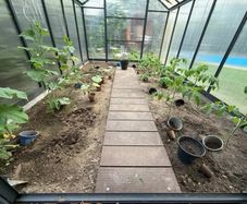 XL Aluminium Greenhouse  Free Delivery
