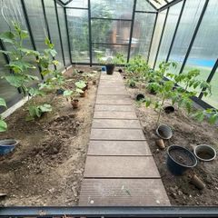 XL Aluminium Greenhouse  Free Delivery