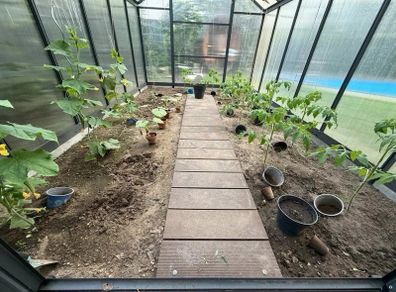 XL Aluminium Greenhouse  Free Delivery