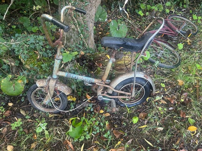 Vintage Raleigh Budgie