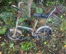 Vintage Raleigh Budgie