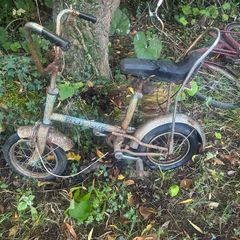 Vintage Raleigh Budgie
