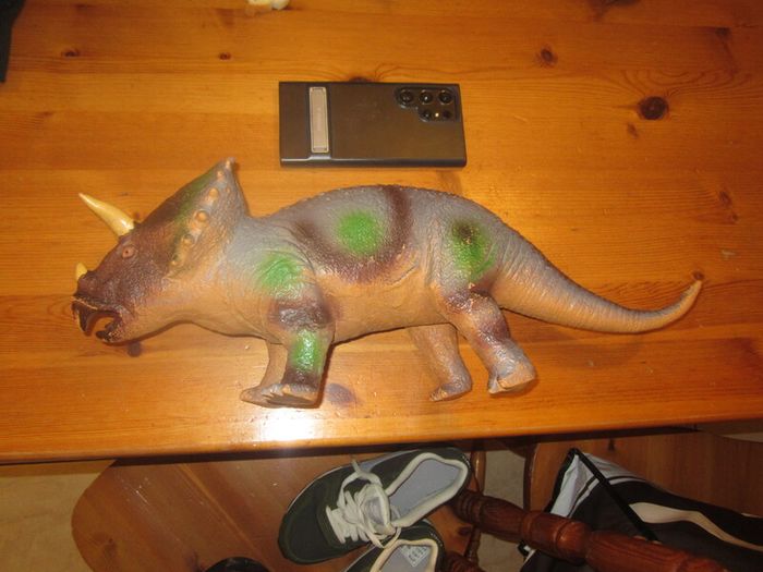 Dinosaur    triceratops