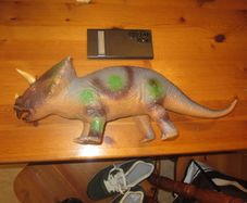 Dinosaur    triceratops