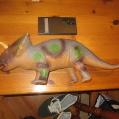 Dinosaur    triceratops