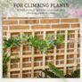 3 Tier Garden Planters with Trellis for Vine Climbing, Wooden Raised Beds, 95x95x110cm, Natural Tone Image 3