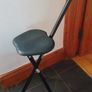 Cane with seat Image 5