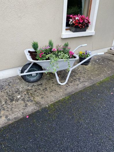 wheelbarrow planter