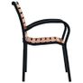 Garden Chairs 2 pcs Steel and WPC Black and Brown Image 4