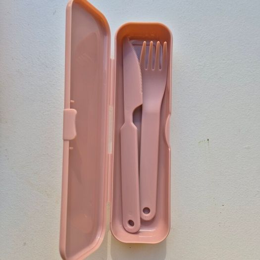 Bugucat Compartment Bento Lunch Box