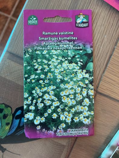 Flowers seeds