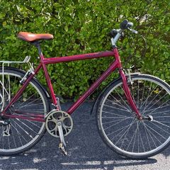 Raleigh bike 28"