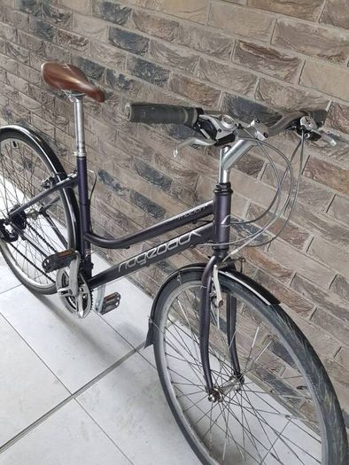 ladies bike( can deliver)
