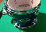 pearl export 8x8 tom