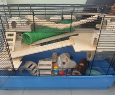 Hamster Cage and accessories