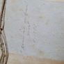 19th century set of four framed orthnological prints Image 2