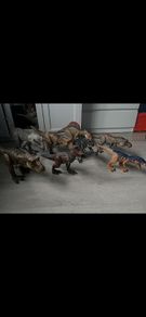 Dinosaurs