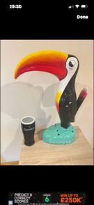 Toucan and pint