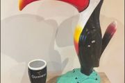Toucan and pint