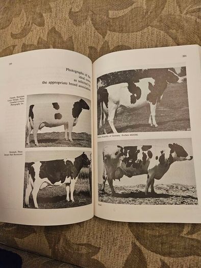 The International Friesian Strain Comparison Trial. A World Perspective.  By H.a. Jasiorowski. M. Stolzman. Z. Reklewski. First Edition Paperback In Good Condition.