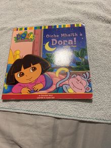 Irish language children's book