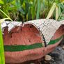 Large handmade planter with plants Image 2