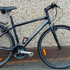 Trek Bargin Trek Bargin