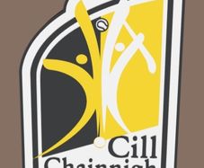 Kilkenny GAA Crest Lightbox