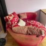 Fama nest chair Image 4
