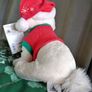 Shop Disney Marie Aristocats Christmas Festive Holiday Soft Toy Plush Image 7