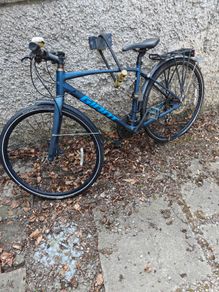 Adult men's bike