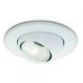 R80 Eyeball Downlighter Image 2