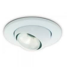 R80 Eyeball Downlighter